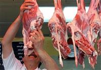 گوشت قزاقستانی وارد بازار می‌شود