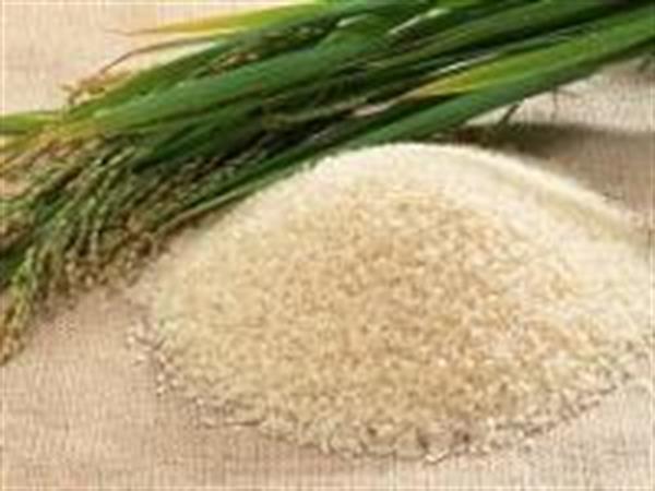 فروش برنج‌های مخلوط داخلی و خارجی با قیمت برنج ایرانی بعید است