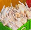 صادرات مرغ تا پایان سال به ۳۰۰ هزارتن می‌رسد