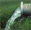 کشاورزان با تنظیم نوبت آبیاری به حفظ ذخایر آب های زیرزمینی کمک کنند