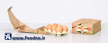 Egg Packaging 5