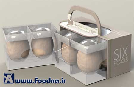 Egg Packaging 10