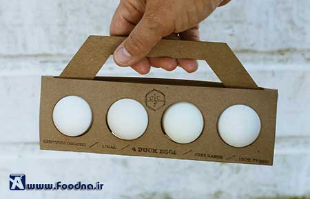 Egg Packaging 11