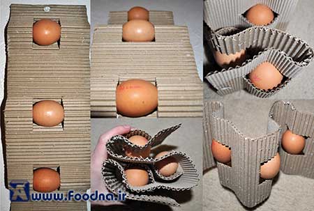 Egg Packaging 12