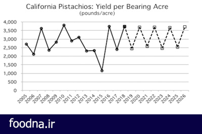نمودارمیزان باردهی باغات پسته کالیفرنیا